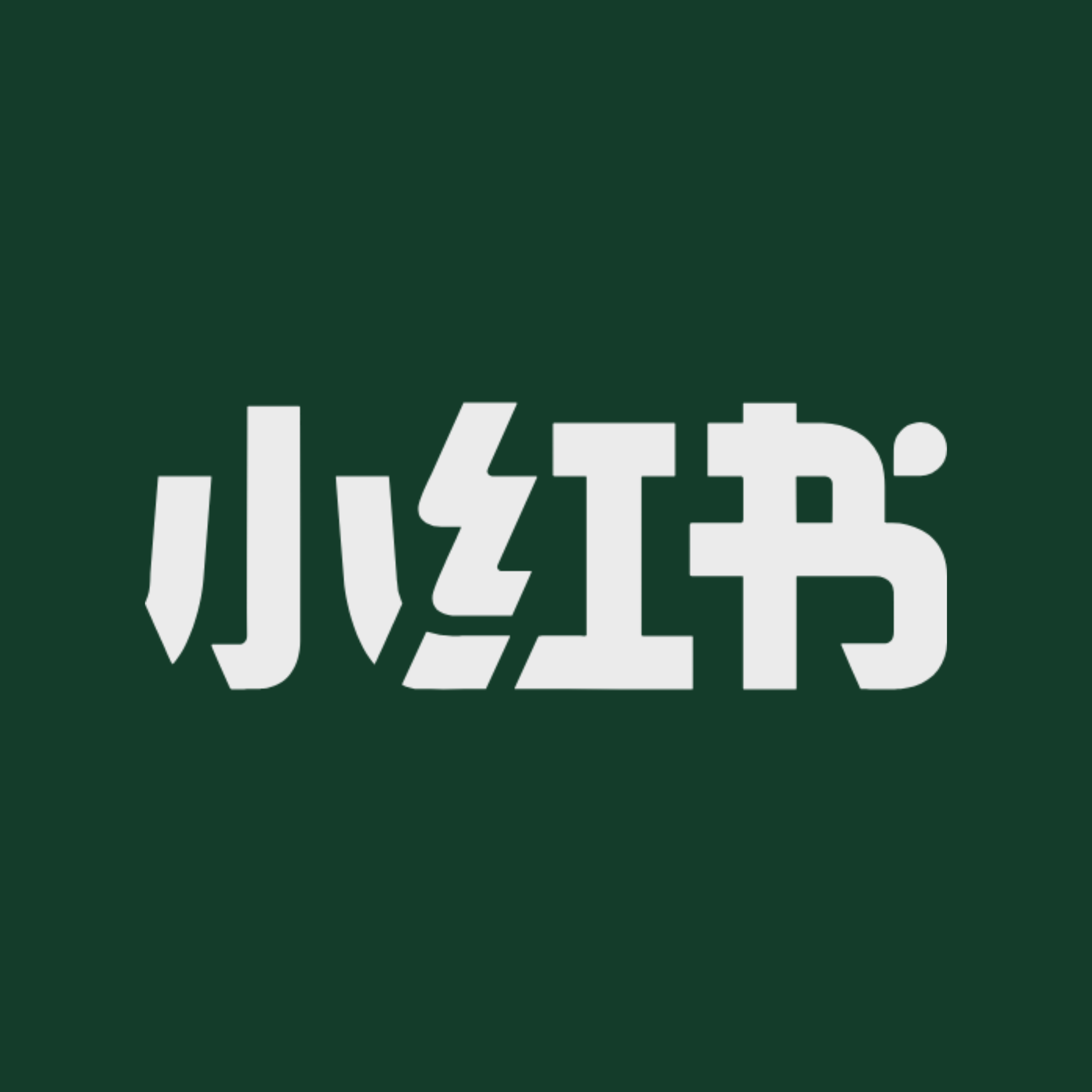 Social Icon