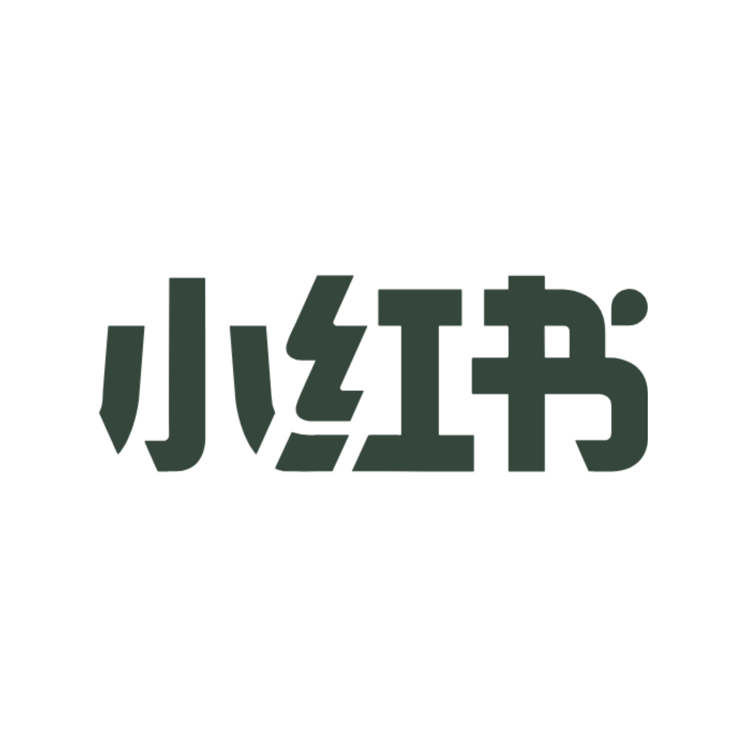 Social Icon