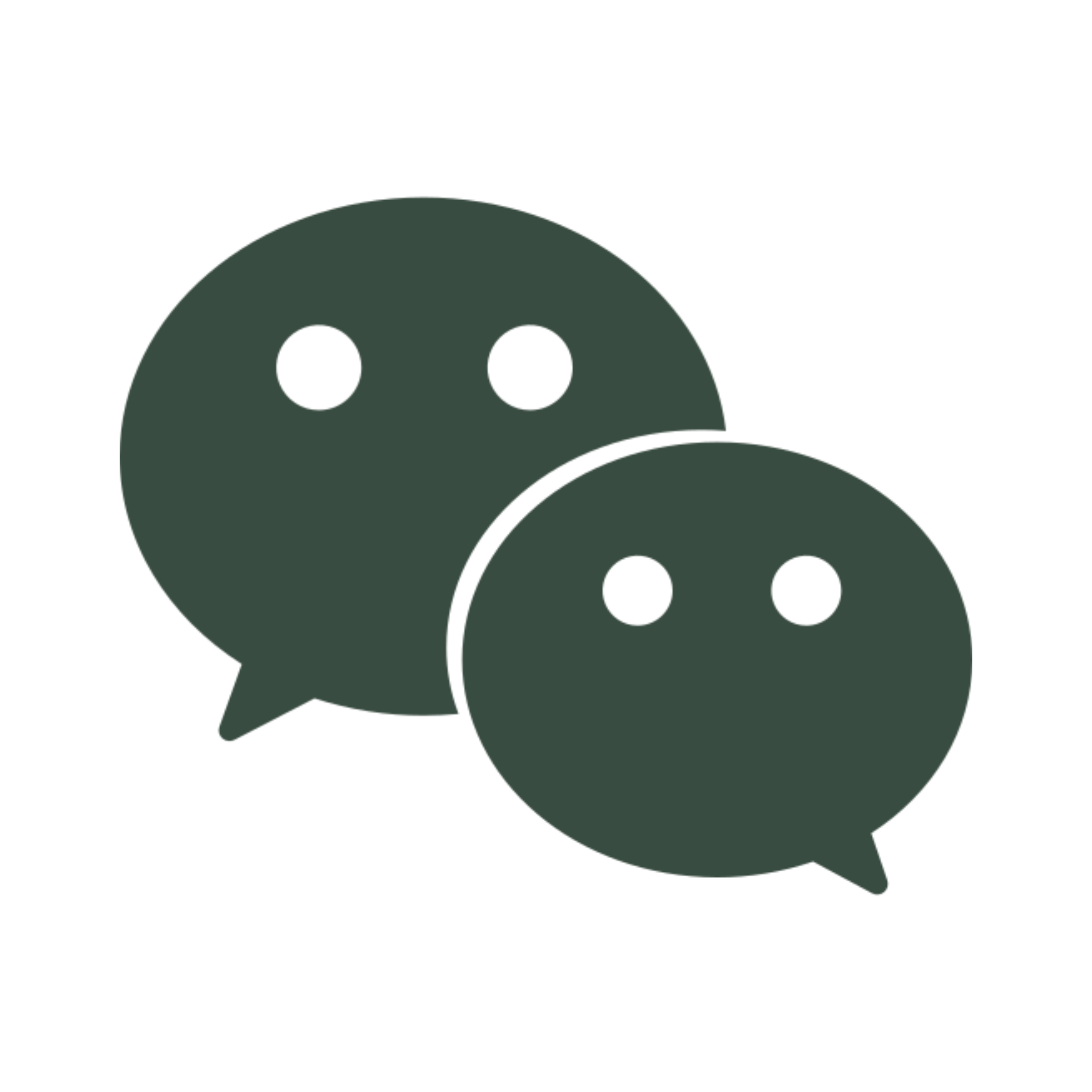 Social Icon